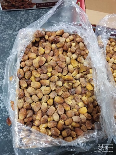 فروش خرما زاهدی