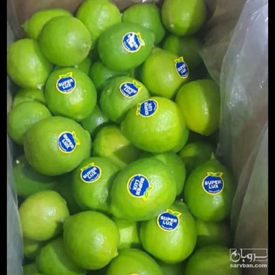فروش لیموترش خارک صادراتی