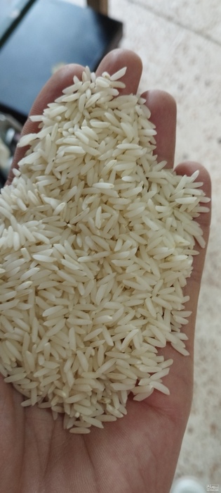 فروش برنج طارم هاشمی