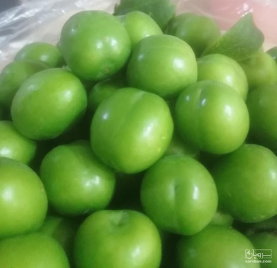 فروش گوجه سبز