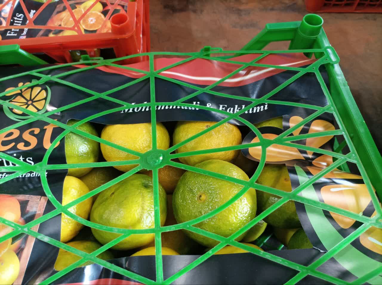 فروش نارنگی