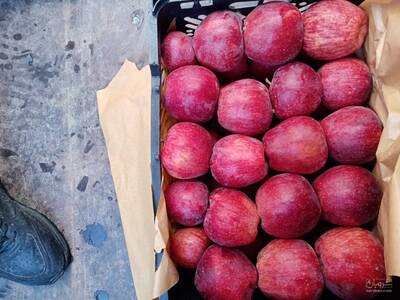 فروش سیب قرمز