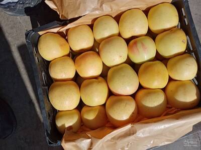 فروش سیب  زرد