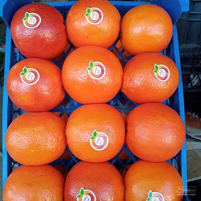 بار فروشی امین اسدزاده