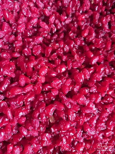 فروش زرشک پفکی