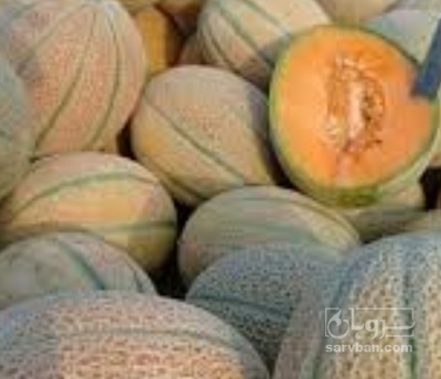 فروش خربزه راک