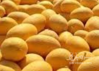 فروش خربزه جانا