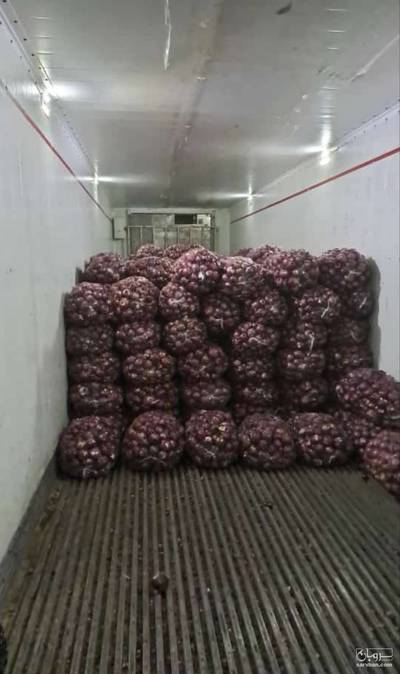 فروش پیاز قرمز