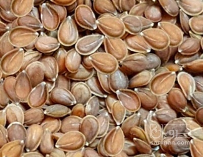 فروش قدومه (گیاه‌ دارویی)