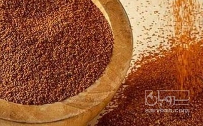 فروش خاکشیر (گیاه‌ دارویی)