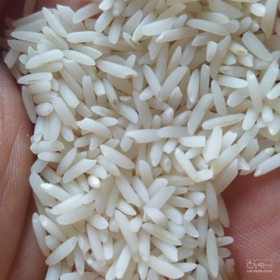 فروش برنج طارم هاشمی