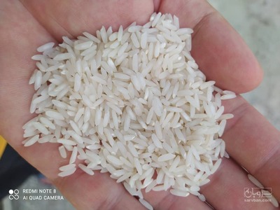 فروش برنج ندا