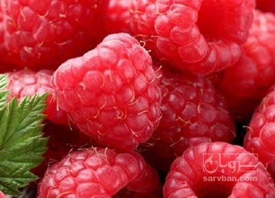 فروش میوه رزبری