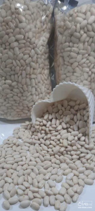 فروش لوبیا سفید