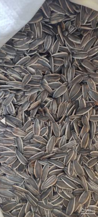 فروش تخمه آفتابگردان بود داده