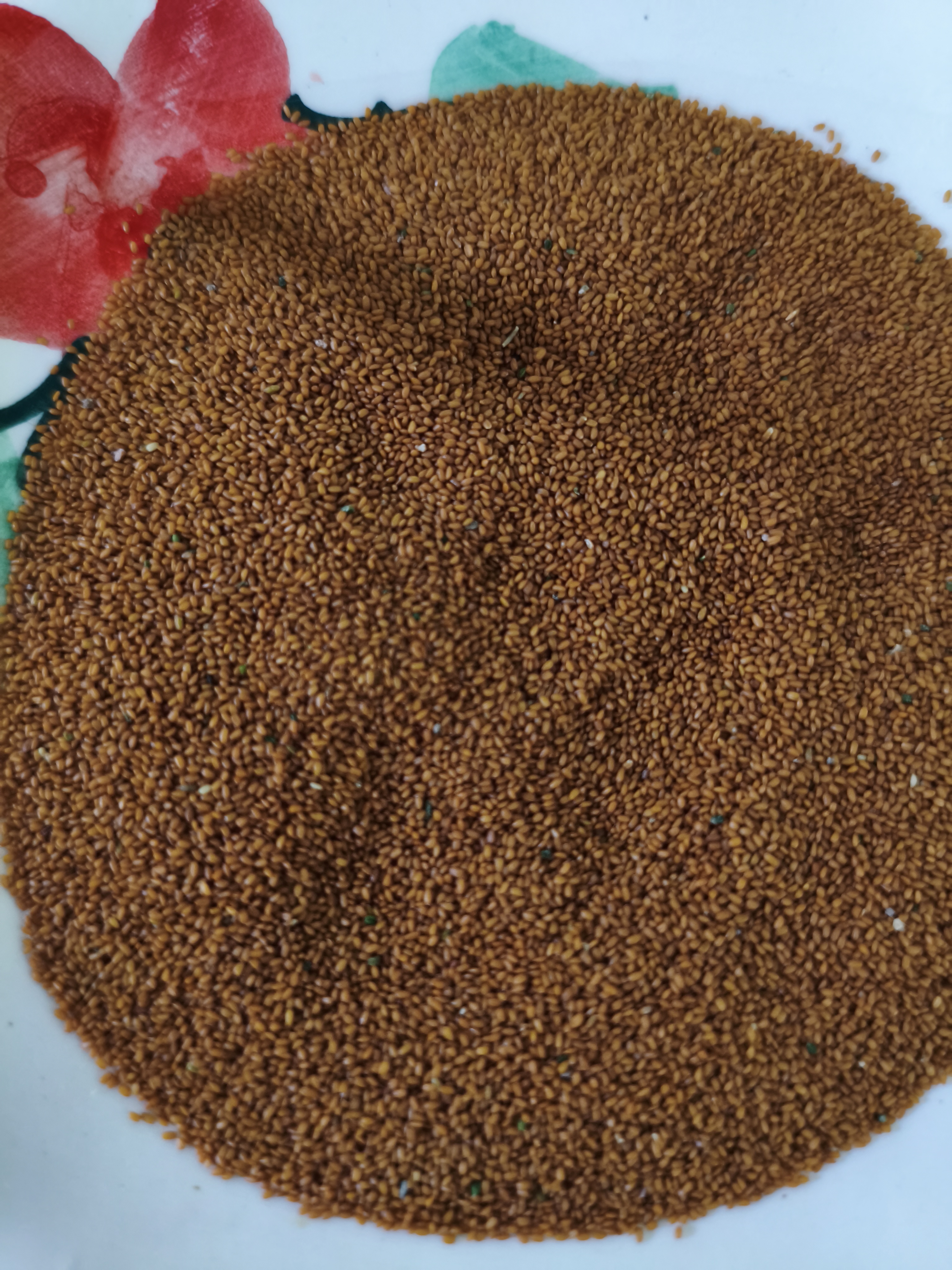 فروش خاکشیر (گیاه‌ دارویی)