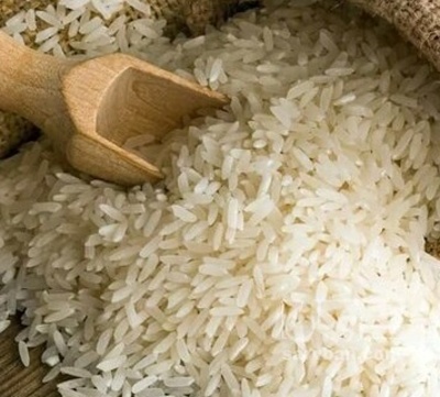 فروش برنج چمپا