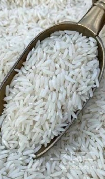 فروش برنج عنبر بو