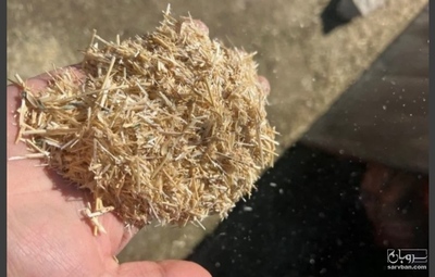 فروش کاه و کلش گندم