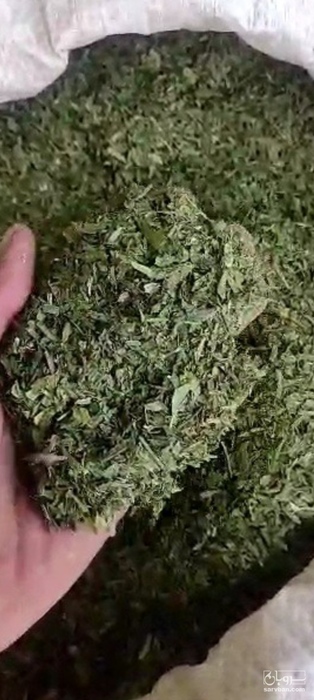 فروش شنبلیله