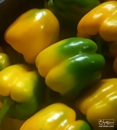 فروش فلفل دلمه ای