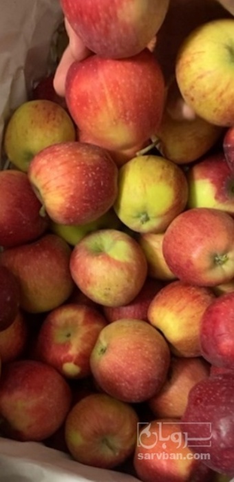 فروش سیب زرد و قرمز درجه 2