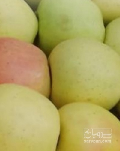 فروش سیب زرد