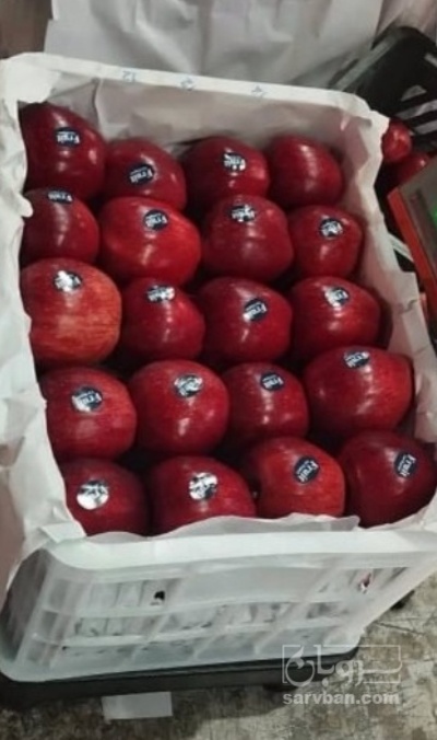 فروش سیب قرمز