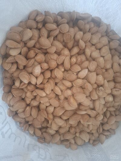 فروش بادام