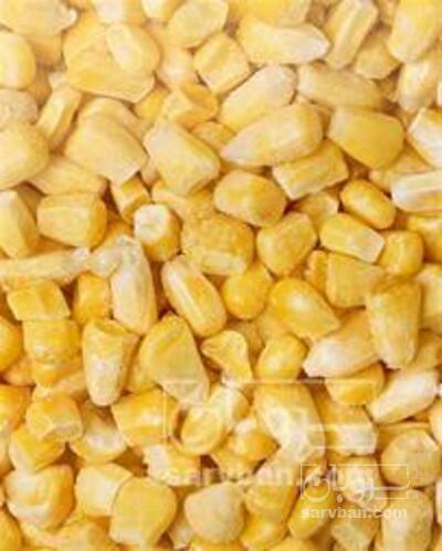 فروش ذرت مکزیکی