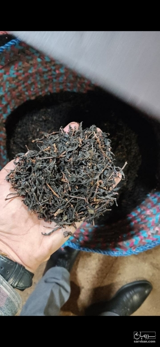 فروش چای سیاه