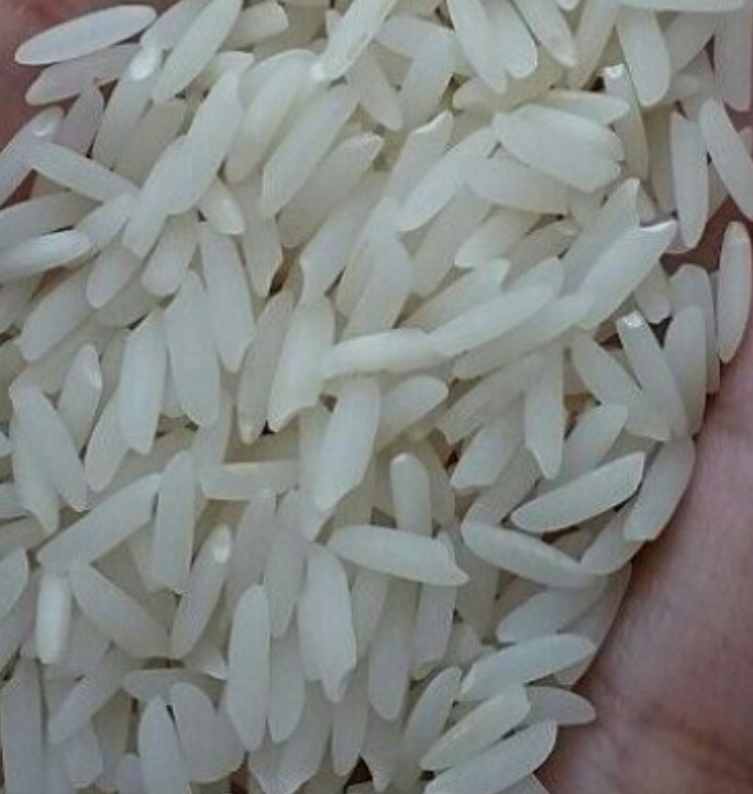 فروش برنج هاشمی