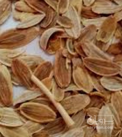 فروش باریجه (گیاه‌ دارویی)