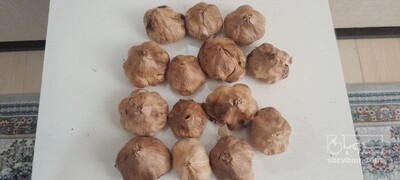 فروش سیر 2