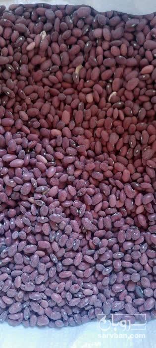 فروش لوبیا قرمز