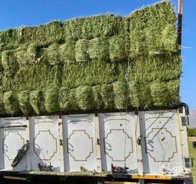 فروش یونجه درجه ۲