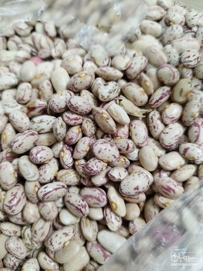 فروش لوبیا چیتی