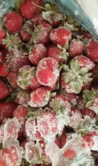 فروش توت فرنگی منجمد