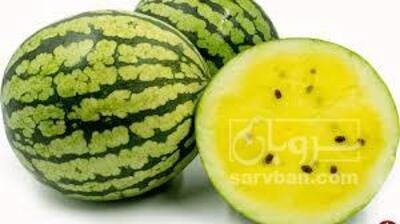 فروش هندوانه زرد