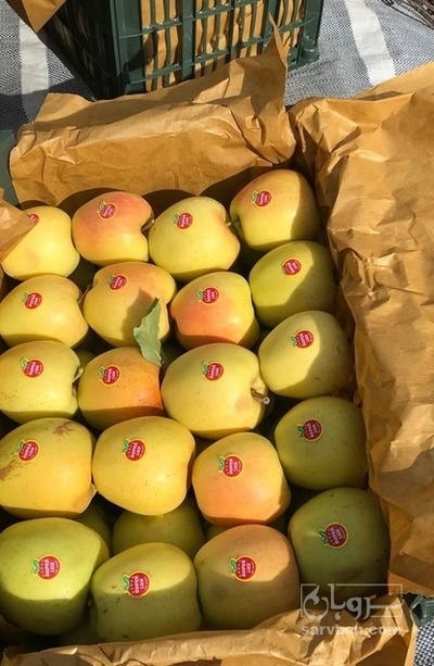 فروش سیب زرد