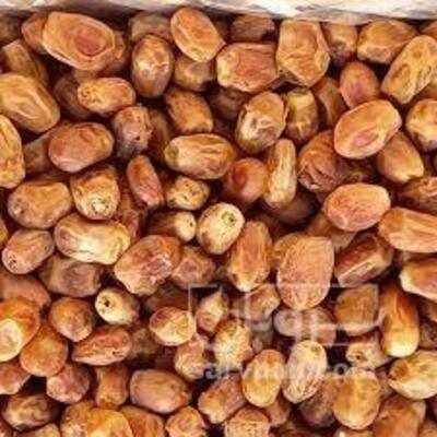 فروش خرمازاهدی