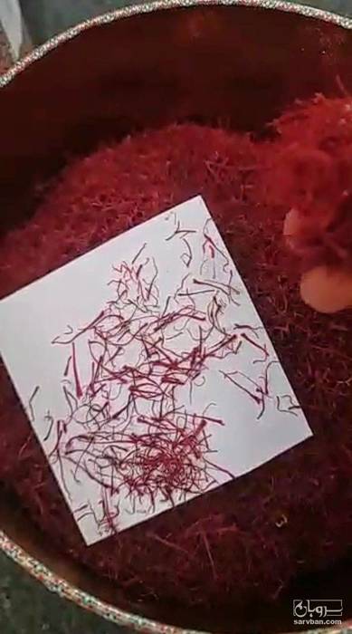 فروش زعفران