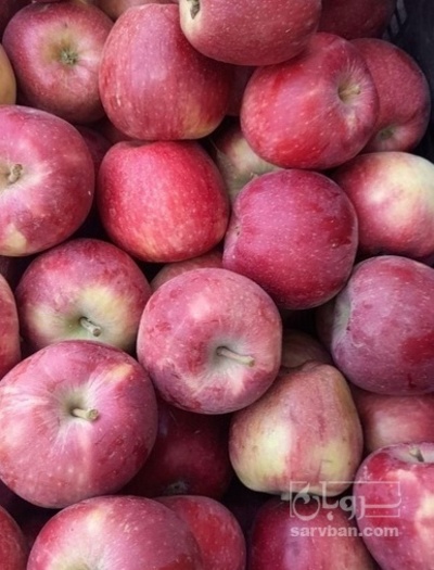 فروش سیب قرمز