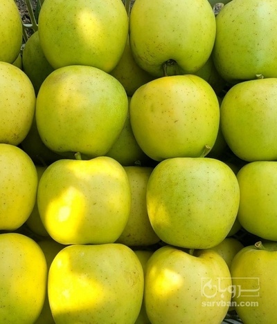 فروش سیب زرد