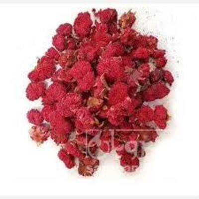 فروش گلنار فارسی ( گل انار ) (گیاه‌ دارویی)