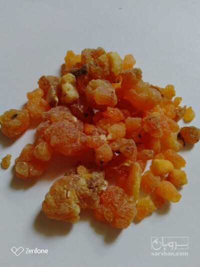 فروش باریجه (گیاه‌ دارویی)