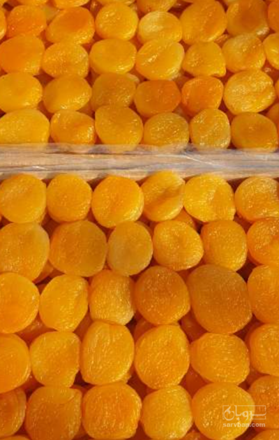 فروش برگه قیسی