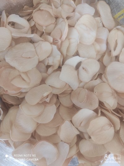 فروش موسیر خشک