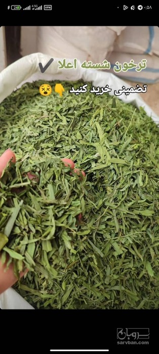 فروش ترخون خشک