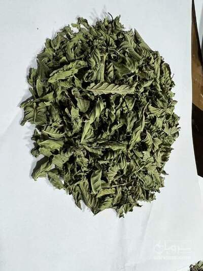 فروش نعناع خشک (گیاه‌ دارویی)